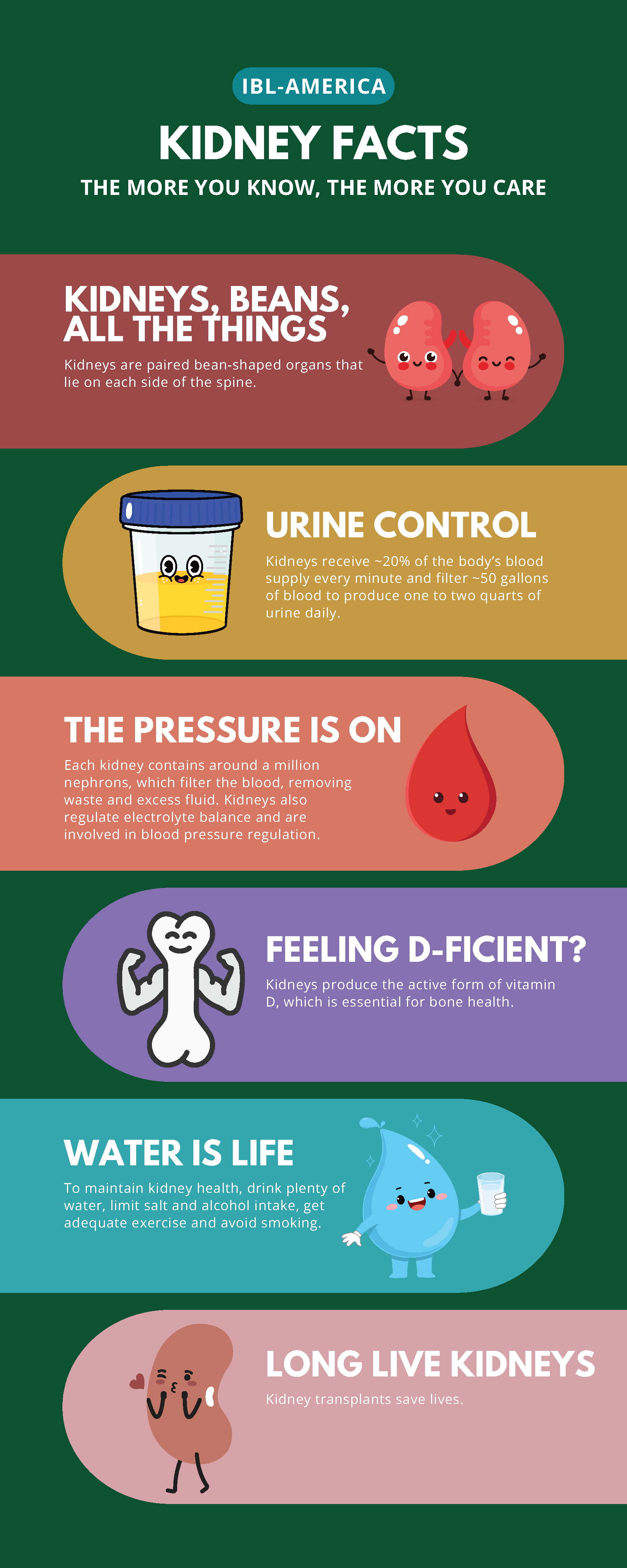 kidney-inforgraphic-ibl-america.png